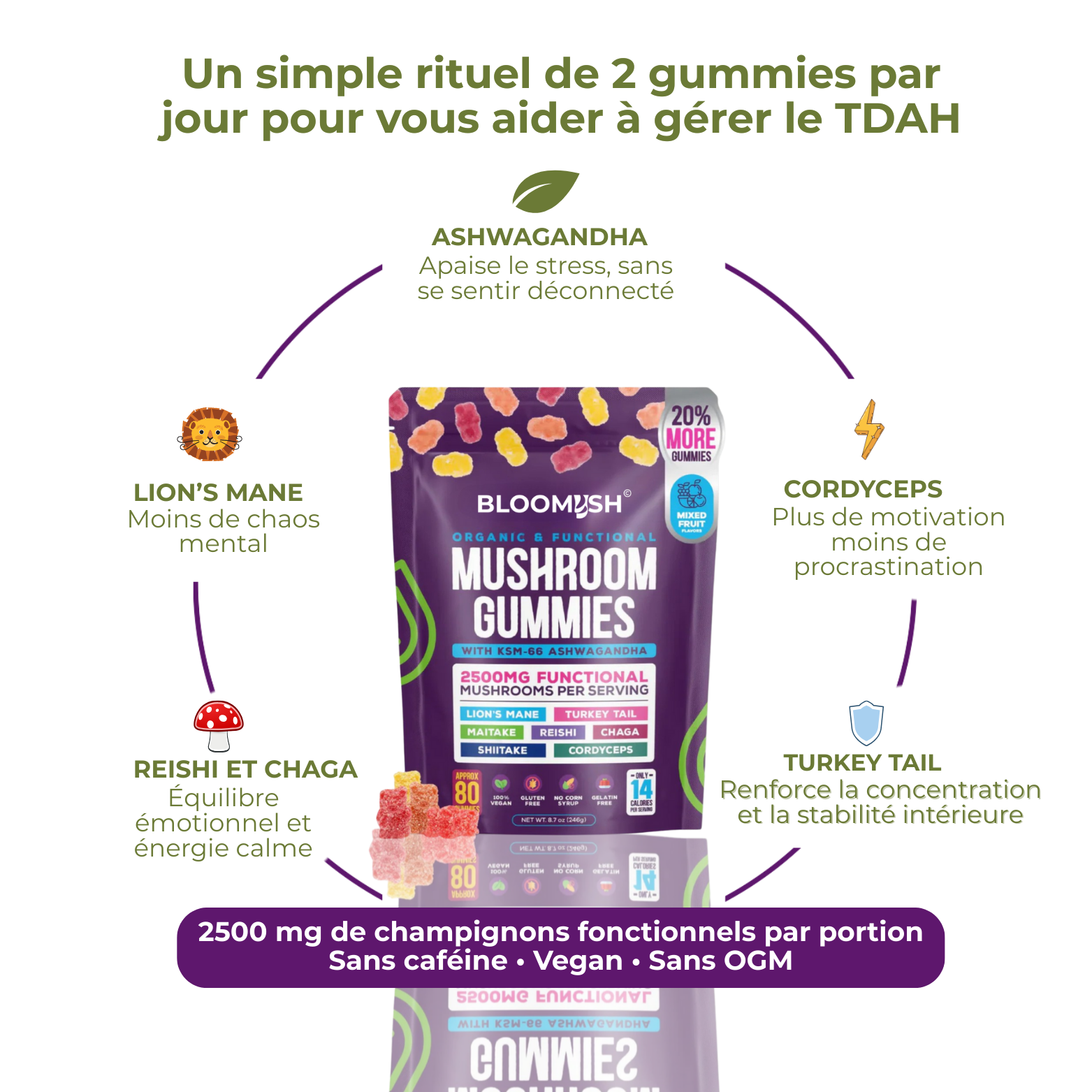 Gummies aux champignons adaptogènes et à l'ashwagandha – BLOOMYSH